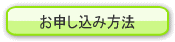 ���\�����ݕ��@