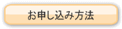 ���\�����ݕ��@